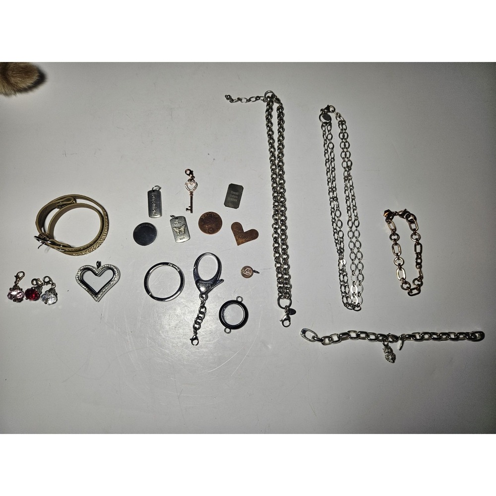 Origami Owl Jewelry Lot Retired Plates Charms Dangles Chains Mesh Bracelet